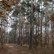 Dzialka  na sprzedaż Dąbrowa Tarnowska (gw), Gruszów Wielki, 44700.00m², oferta LOK-GS-1467