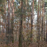 Dzialka  na sprzedaż Dąbrowa Tarnowska (gw), Gruszów Wielki, 44700.00m², oferta LOK-GS-1467