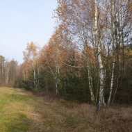 Dzialka  na sprzedaż Dąbrowa Tarnowska (gw), Gruszów Wielki, 44700.00m², oferta LOK-GS-1467