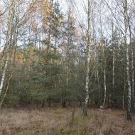 Dzialka  na sprzedaż Dąbrowa Tarnowska (gw), Gruszów Wielki, 44700.00m², oferta LOK-GS-1467