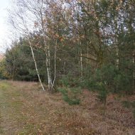 Dzialka  na sprzedaż Dąbrowa Tarnowska (gw), Gruszów Wielki, 44700.00m², oferta LOK-GS-1467