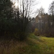 Dzialka  na sprzedaż Dąbrowa Tarnowska (gw), Gruszów Wielki, 44700.00m², oferta LOK-GS-1467