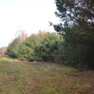 Dzialka  na sprzedaż Dąbrowa Tarnowska (gw), Gruszów Wielki, 44700.00m², oferta LOK-GS-1467