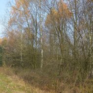 Dzialka  na sprzedaż Dąbrowa Tarnowska (gw), Gruszów Wielki, 44700.00m², oferta LOK-GS-1467