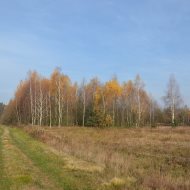 Dzialka  na sprzedaż Dąbrowa Tarnowska (gw), Gruszów Wielki, 44700.00m², oferta LOK-GS-1467
