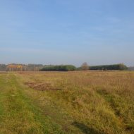 Dzialka  na sprzedaż Dąbrowa Tarnowska (gw), Gruszów Wielki, 44700.00m², oferta LOK-GS-1467