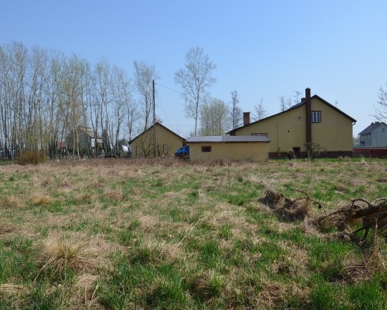 Dzialka  na sprzedaż Szczucin (gw), Borki, 4300.00m², oferta LOK-GS-1724