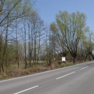 Dzialka  na sprzedaż Szczucin (gw), Borki, 4300.00m², oferta LOK-GS-1724