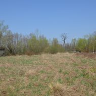 Dzialka  na sprzedaż Szczucin (gw), Borki, 4300.00m², oferta LOK-GS-1724