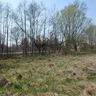 Dzialka  na sprzedaż Szczucin (gw), Borki, 4300.00m², oferta LOK-GS-1724