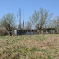 Dzialka  na sprzedaż Szczucin (gw), Borki, 4300.00m², oferta LOK-GS-1724