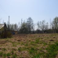 Dzialka  na sprzedaż Szczucin (gw), Borki, 4300.00m², oferta LOK-GS-1724