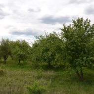 Dom  na sprzedaż Szczucin, Kościuszki, 6 pokoi, 280.00m², oferta LOK-DS-1768