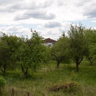Dom  na sprzedaż Szczucin, Kościuszki, 6 pokoi, 280.00m², oferta LOK-DS-1768