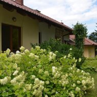 Dom  na sprzedaż Dąbrowa Tarnowska, 7 pokoi, 330.00m², oferta LOK-DS-1788