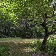 Dom  na sprzedaż Dąbrowa Tarnowska, 7 pokoi, 330.00m², oferta LOK-DS-1788