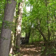 Dom  na sprzedaż Dąbrowa Tarnowska, 7 pokoi, 330.00m², oferta LOK-DS-1788