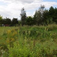 Dzialka  na sprzedaż Dąbrowa Tarnowska, 3202.00m², oferta LOK-GS-1830