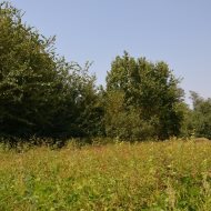 Dzialka  na sprzedaż Radgoszcz, Kopernika, 1400.00m², oferta LOK-GS-1832