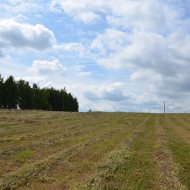 Dzialka  na sprzedaż Dąbrowa Tarnowska (gw), Morzychna, 2505.00m², oferta LOK-GS-1854