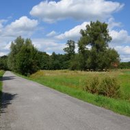 Dzialka  na sprzedaż Radgoszcz, 1100.00m², oferta LOK-GS-1892