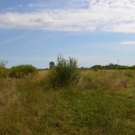 Dzialka  na sprzedaż Pacanów, Rataje Słupskie, 5500.00m², oferta LOK-GS-1899