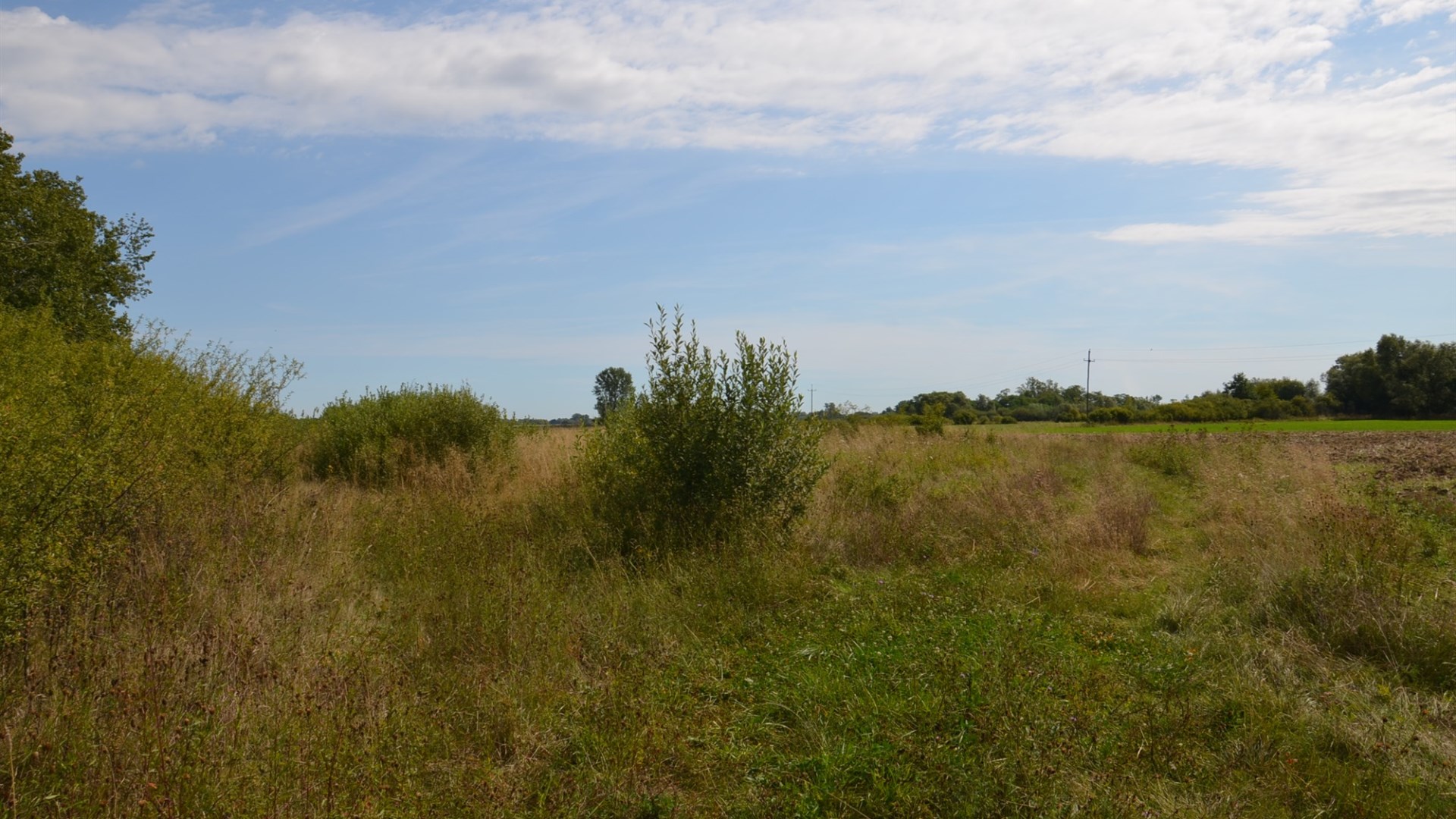 Dzialka  na sprzedaż Pacanów, Rataje Słupskie, 5500.00m², oferta LOK-GS-1899
