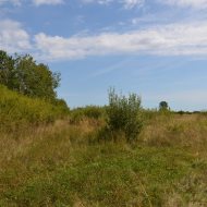 Dzialka  na sprzedaż Pacanów, Rataje Słupskie, 5500.00m², oferta LOK-GS-1899