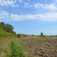 Dzialka  na sprzedaż Pacanów, Rataje Słupskie, 5500.00m², oferta LOK-GS-1899