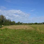 Dzialka  na sprzedaż Pacanów, Rataje Słupskie, 5600.00m², oferta LOK-GS-1901