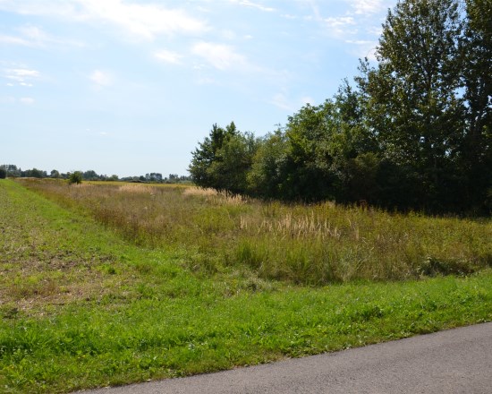 Dzialka  na sprzedaż Pacanów, Rataje Słupskie, 5700.00m², oferta LOK-GS-1902