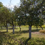 Dom  na sprzedaż Bolesław, Kuzie, 6 pokoi, 253.00m², oferta LOK-DS-1904