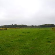 Dom  na sprzedaż Dąbrowa Tarnowska (gw), Gruszów Wielki, 4 pokoje, 210.00m², oferta LOK-DS-1909