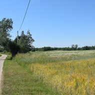 Dzialka  na sprzedaż Szczucin (gw), Radwan, 1310.00m², oferta LOK-GS-1910