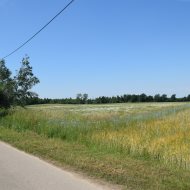Dzialka  na sprzedaż Szczucin (gw), Radwan, 1310.00m², oferta LOK-GS-1910