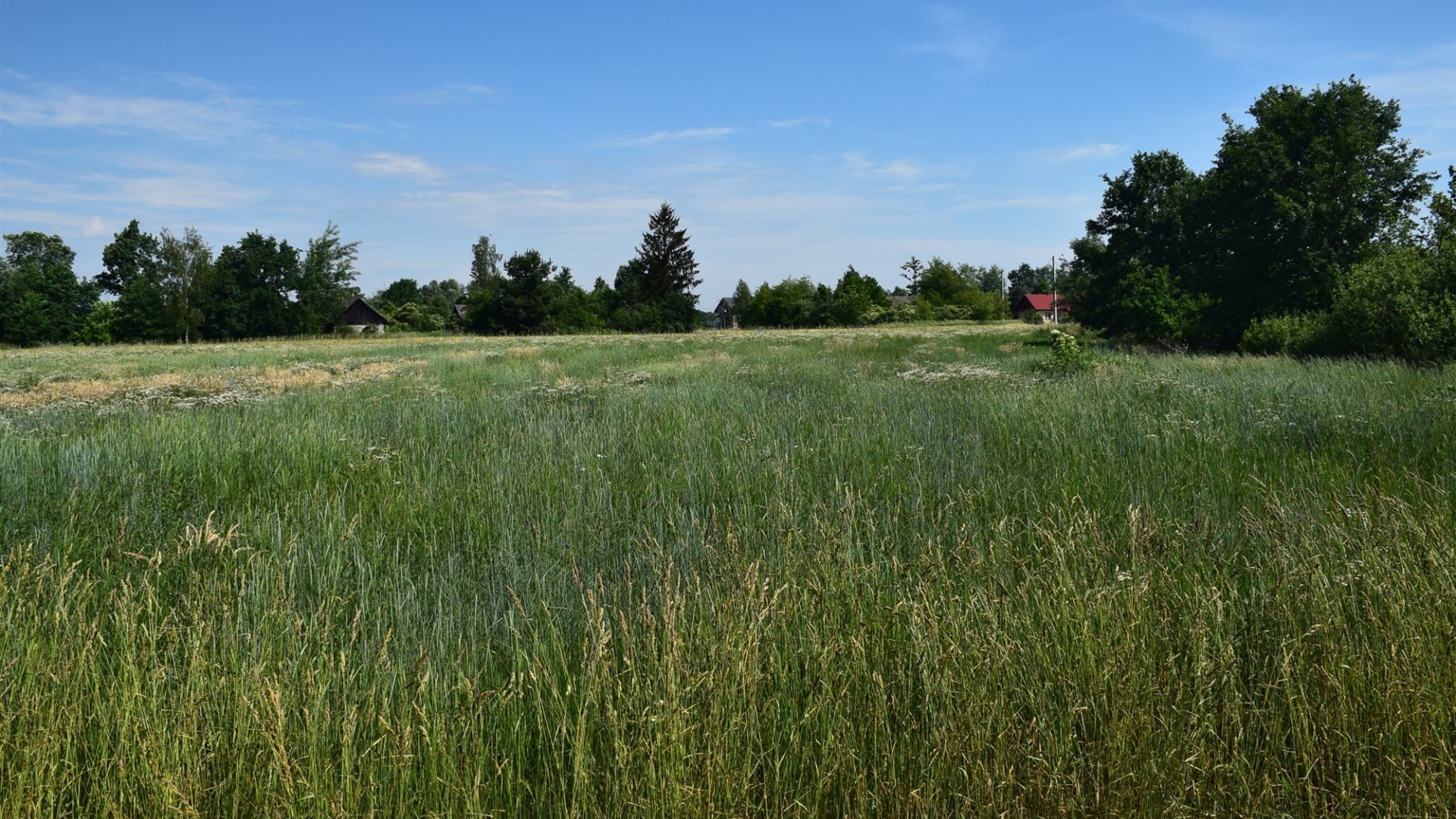 Dzialka  na sprzedaż Szczucin (gw), Radwan, 1310.00m², oferta LOK-GS-1910