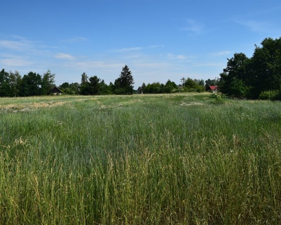 Dzialka  na sprzedaż Szczucin (gw), Radwan, 1310.00m², oferta LOK-GS-1910