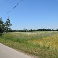 Dzialka  na sprzedaż Szczucin (gw), Radwan, 1978.00m², oferta LOK-GS-1911