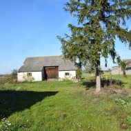 Dzialka  na sprzedaż Nowy Korczyn, Brzostków, 11700.00m², oferta LOK-GS-1912