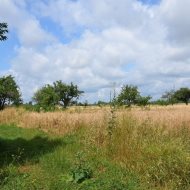 Dzialka  na sprzedaż Nowy Korczyn, Brzostków, 11700.00m², oferta LOK-GS-1912
