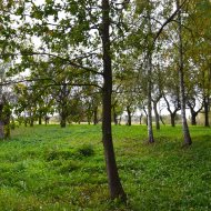 Dom  na sprzedaż Mędrzechów, Odmęt, 3 pokoje, 140.00m², oferta LOK-DS-1917
