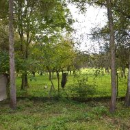 Dom  na sprzedaż Mędrzechów, Odmęt, 3 pokoje, 140.00m², oferta LOK-DS-1917