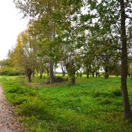 Dom  na sprzedaż Mędrzechów, Odmęt, 3 pokoje, 140.00m², oferta LOK-DS-1917