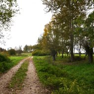 Dom  na sprzedaż Mędrzechów, Odmęt, 3 pokoje, 140.00m², oferta LOK-DS-1917
